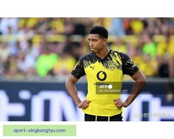 多特蒙德老板呼吁出台严厉措施