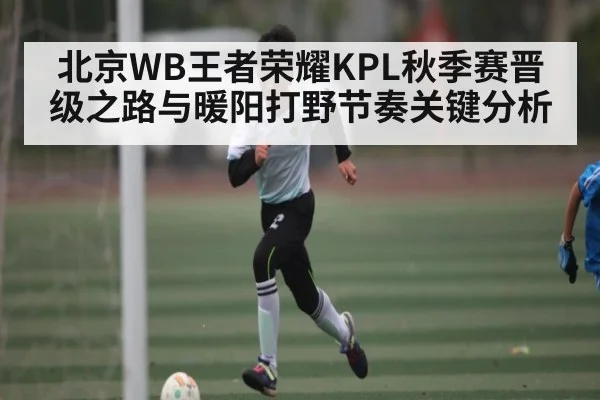 北京WB王者荣耀KPL秋季赛晋级之路与暖阳打野节奏关键分析